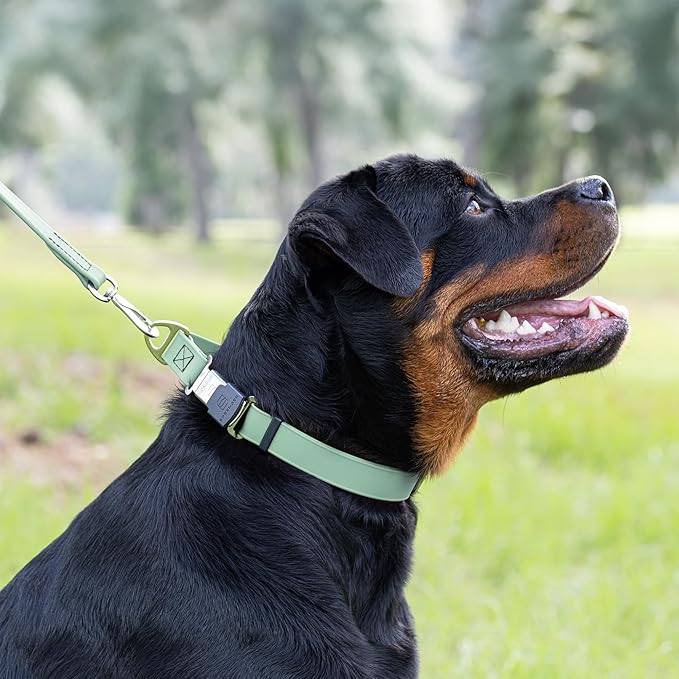 Dogline Biothane Waterproof Dog Collar with Herm Sprenger Black Stainless Steel Quick Release Buckle – Heavy Duty Tactical Durable Collar for Dogs – Comfortable Pet Collar W3/4" L12-19 Sage Green