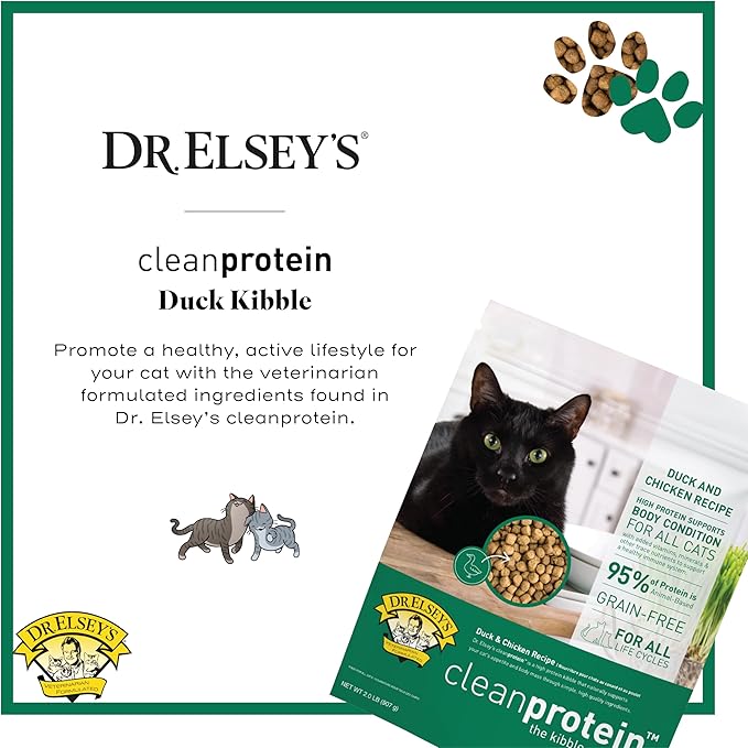 Dr. Elsey&