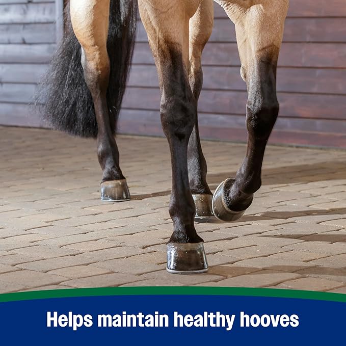 Farnam Horseshoer&