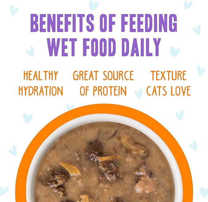Weruva B.F.F. OMG - Best Feline Friend Oh My Gravy!, Purr-FECT Plannin&