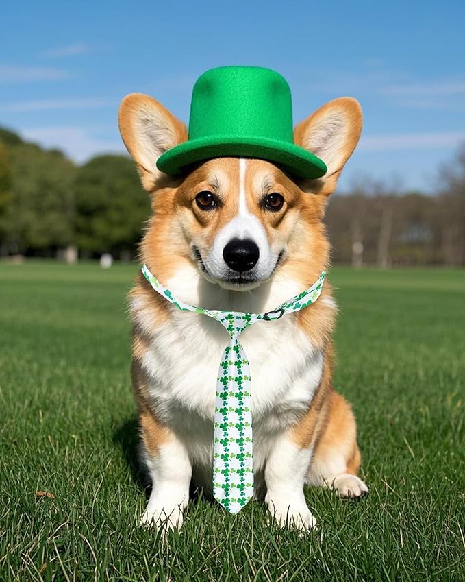 PET SHOW 10 Pack St. Patrick&