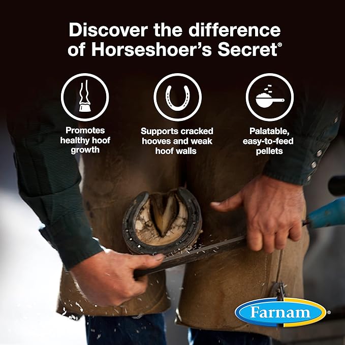 Farnam Horseshoer&
