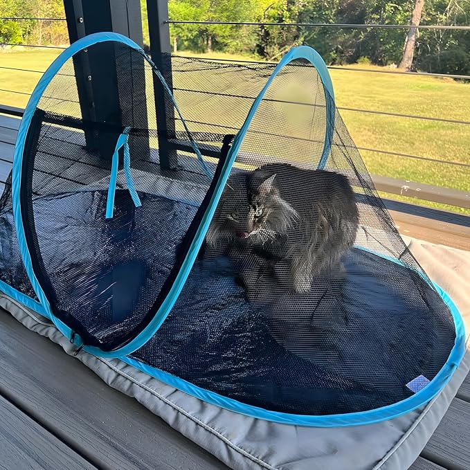 Cat Tent Outdoor, Pet Enclosure Tent Suitable for Cats and Small Animals, Indoor Playpen Portable Exercise Tent with Carry Bag(Black)