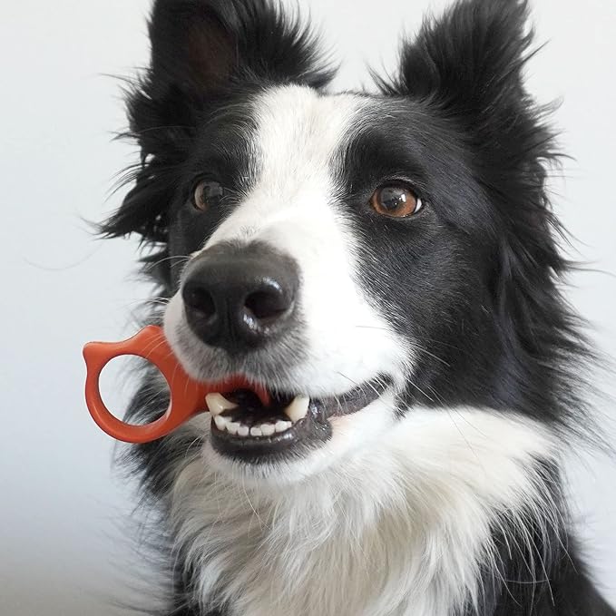 Pet Toothbrushing Assistant for Puppies&