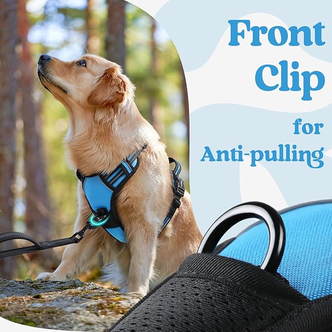 rabbitgoo Dog Harness for Large, No Pull Pet Harness with 3 Buckles, Adjustable Soft Padded Vest with Control Handle, Walking Reflective Pet Vest for Extra Large Dogs, Sky Blue, XL
