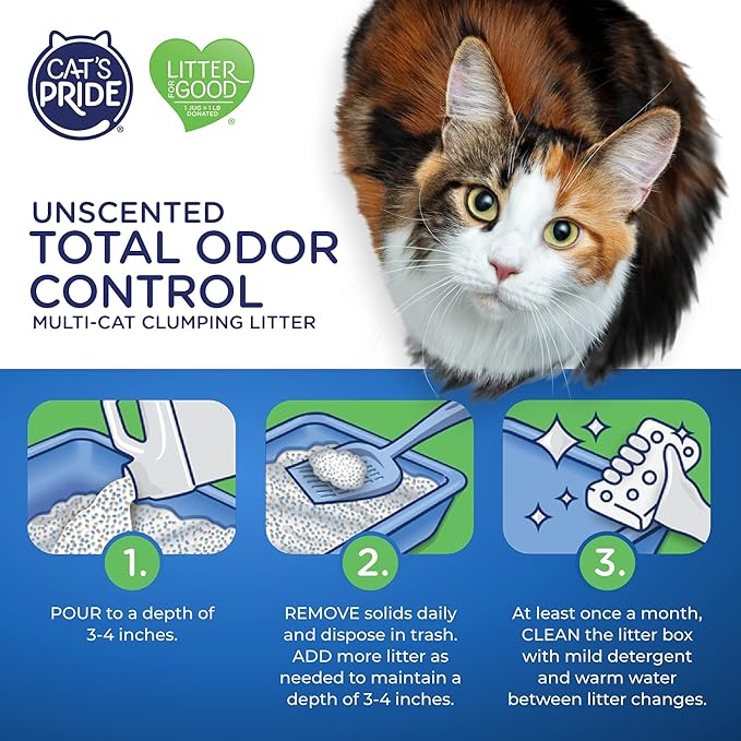 Cat&