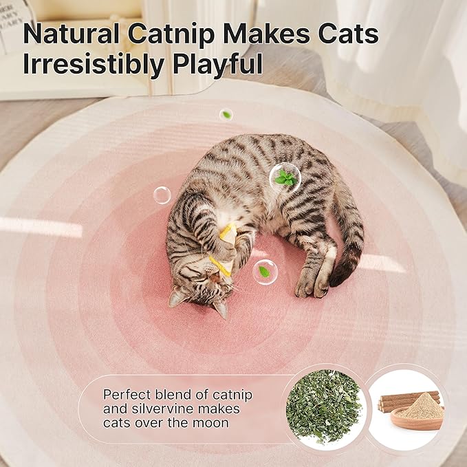 Potaroma Loofah Cat Chew Toys with Catnip and Silvervine, 3PCS Interactive Kitten Loofa Dental Teething and Biting Catnip Toys for Cat&