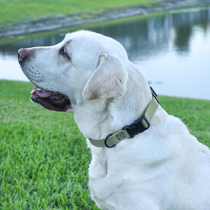 Dogline Biothane Waterproof Dog Collar with Quick Release Buckle Strong Coated Nylon Webbing with Odor- Proof for Easy Care Easy to Clean Fits Small Medium Large Dogs, Sage Green 3/4" W 12-19" L