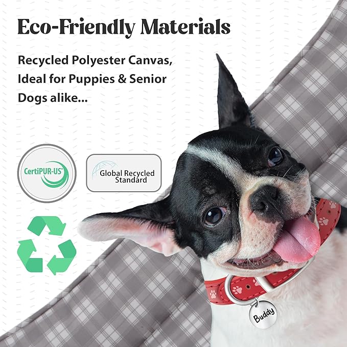 Orthopedic Bolster Dog Bed β CertiPUR-US Foam, Recycled Polyester Canvas, Washable Cover, Anti-Slip Bottom, Medium, Light Blue Check β Stylish Designer Dog Sofa