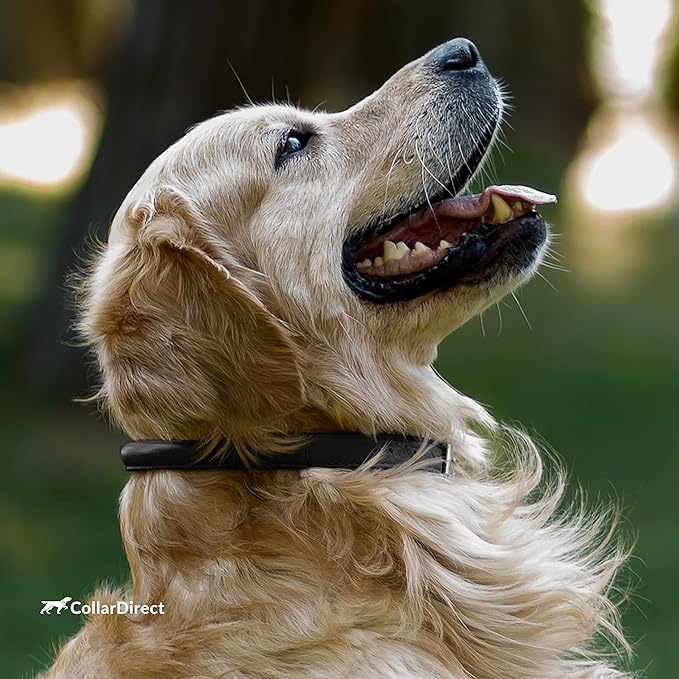 CollarDirect Rolled Leather Dog Collar, Soft Padded Round Puppy Collar, Handmade Genuine Leather Collar Dog Small Large Cat Collars 13 Colors (15-19 Inch, Light Blue Textured)