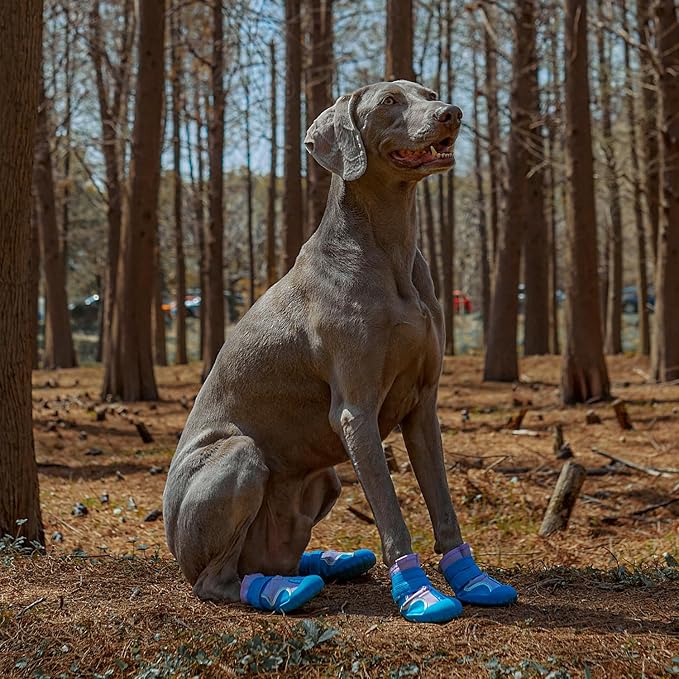 Dog Shoes, Waterproof Dog Boots & Paw Protectors with Anti-Slip Sole, 4pcs/Set Pet Dog Booties, Reflective Dog Shoes for Small Medium Large, Winter Snowy Summer Hot Pavement (Blue, 3