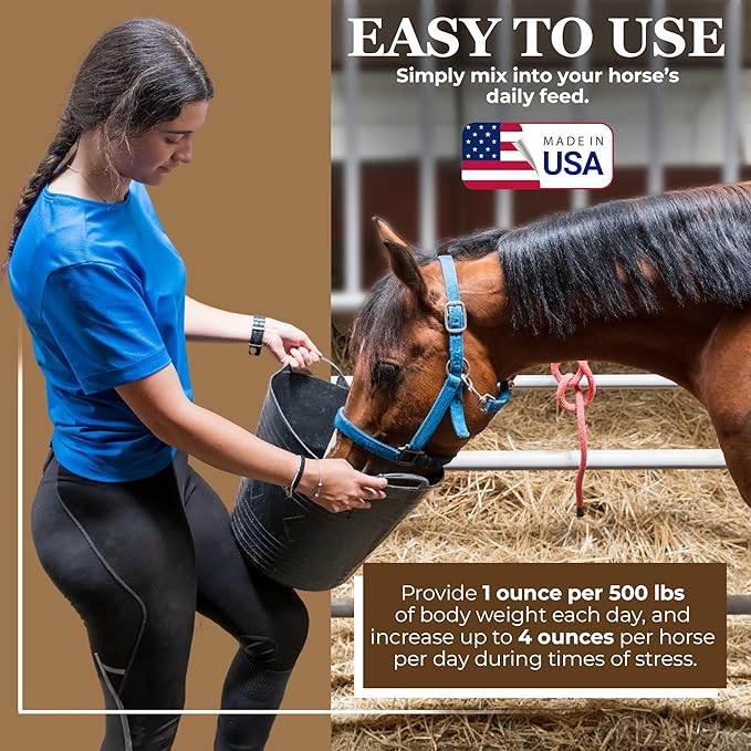 Equerry&