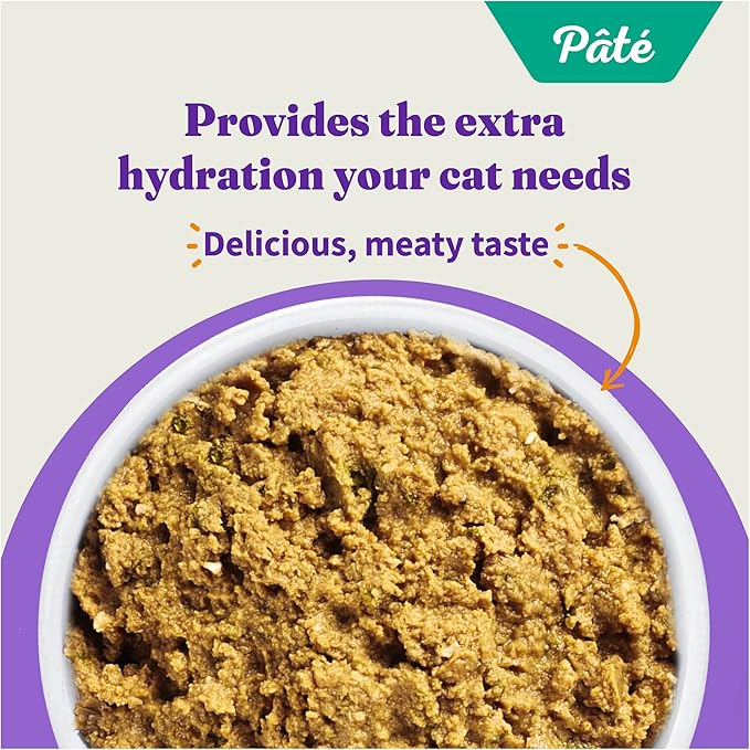 Halo Wet Cat Food Whitefish Recipe, Grain Free Wet Cat Pate, Canned Cat Food for Extra Hydration, 5.5 Oz Can (Pack of 12)