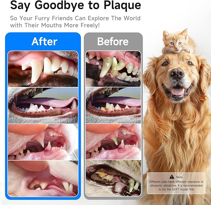 Electric Dog Plaque & Tartar Remover - Pet Teeth Cleaning Kit with LED Light, 5 Adjustable Modes, Safe and Low Noise β Easy Home Dental Care for Dogs and Cats