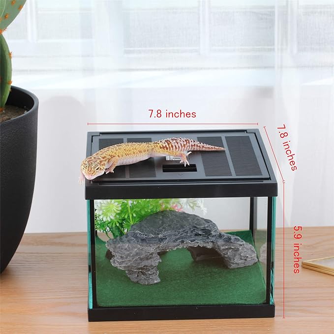 crapelles Glass Lizard Tank, Spider Box Kit, 7.8x7.8x5.9&