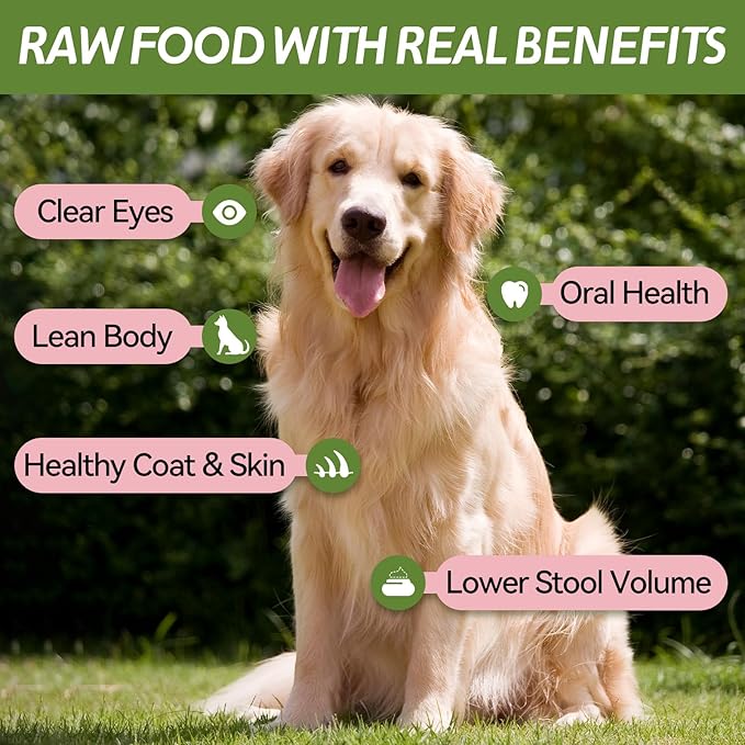 OPET Freeze Dried Cat Treats, Single Ingredient Grain Free High Protein Pet Food for Cats and Dogs, Healthy Training Snacks,Freeze Dried Pork Sliced Fillets (Pork, 1.48 Ounce)