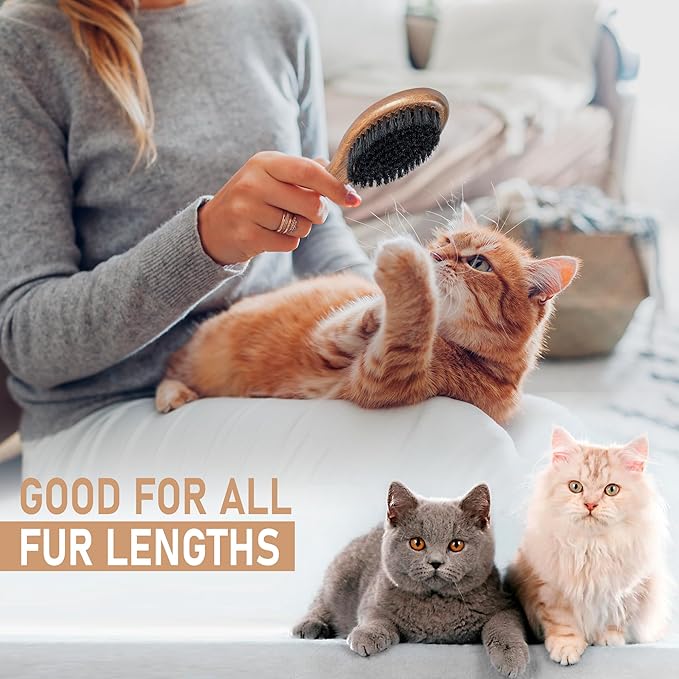 Takavu Boar Bristle Cat Hair Brush, Gentle Grooming Brush with Natural Bristles and Wooden Handle for Sensitive Skin, Pet Cleaning Supplies Keeping Your Cat&