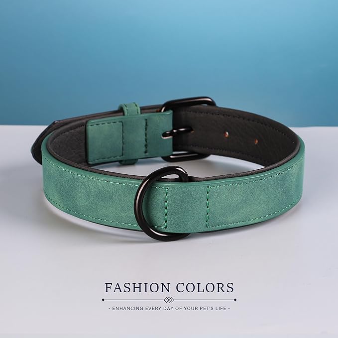 Didog Soft Padded Leather Dog Collar, Breathable Heavy Duty Dog Collar Leather with Adjustable Rust-Proof Metal Buckle for Small Medium Large Dogs, Green, M: Total length 16&