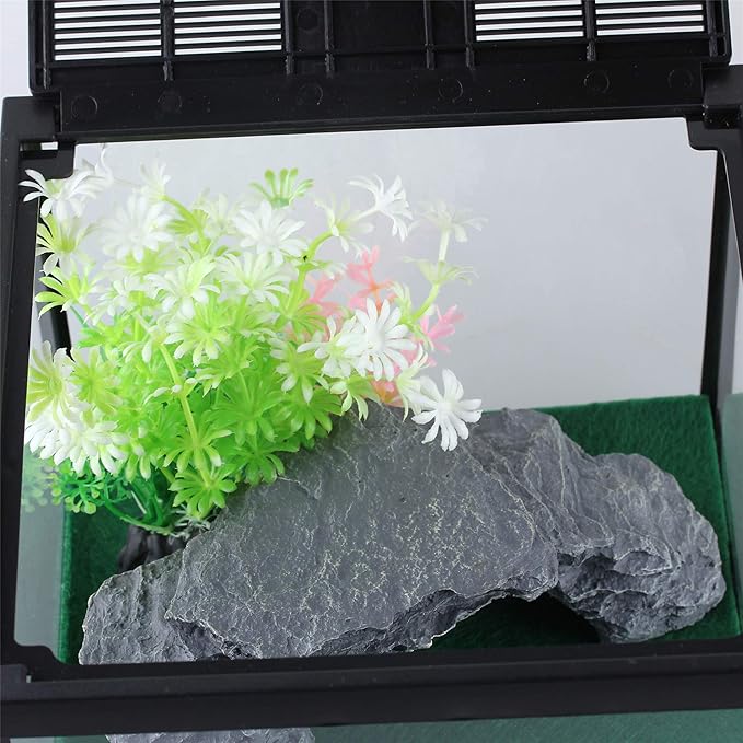 crapelles Glass Lizard Tank, Spider Box Kit, 7.8x7.8x5.9&