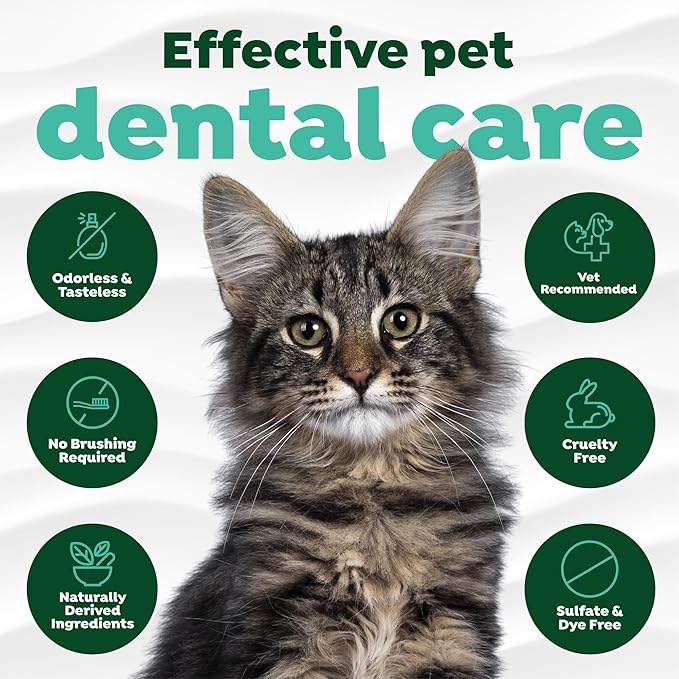 TropiClean Fresh Breath Drops for Cats Travel Size | Cat Mouthwash | Water Additive For Cats | Kitten Bad Breath Water Additive | Made in the USA | 2.2 oz.