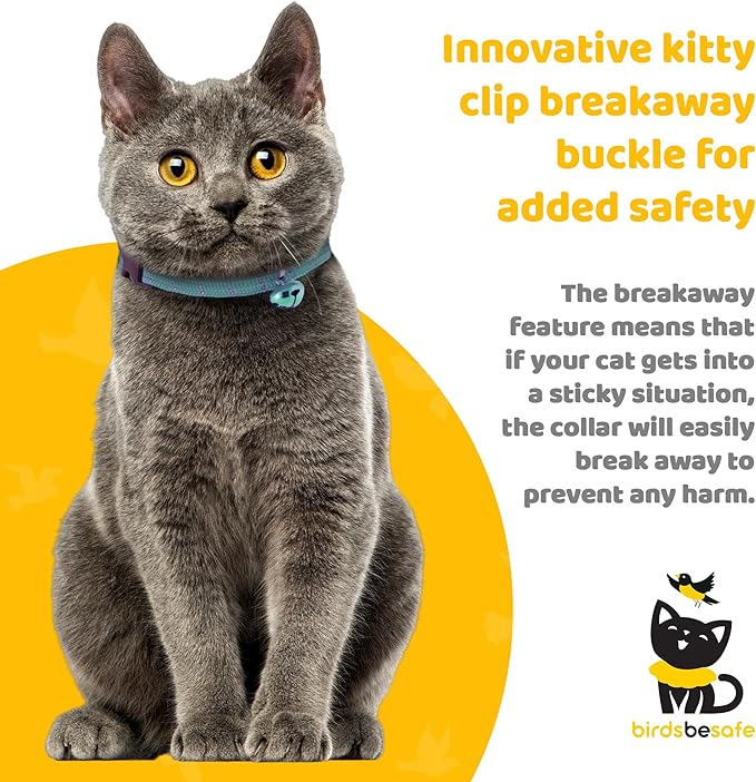 BirdsBeSafeĀ® Break Away Cat Collar with Bell, Reflective Thread for Night Visibility, Comfortable Elastic Stretch Cat Collar to Protect Cat from Getting Stuck in The Garden.