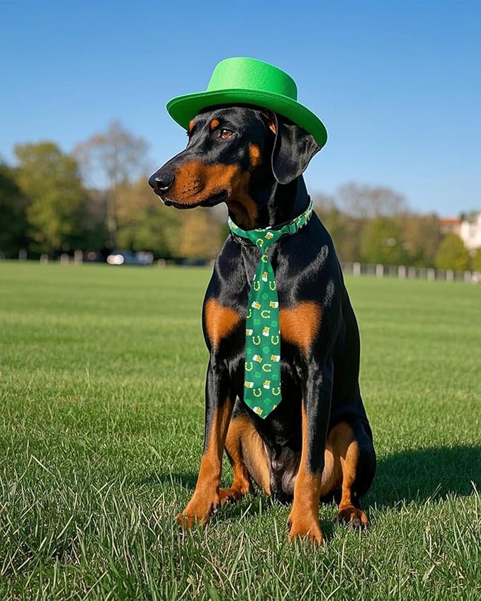 PET SHOW 10 Pack St. Patrick&