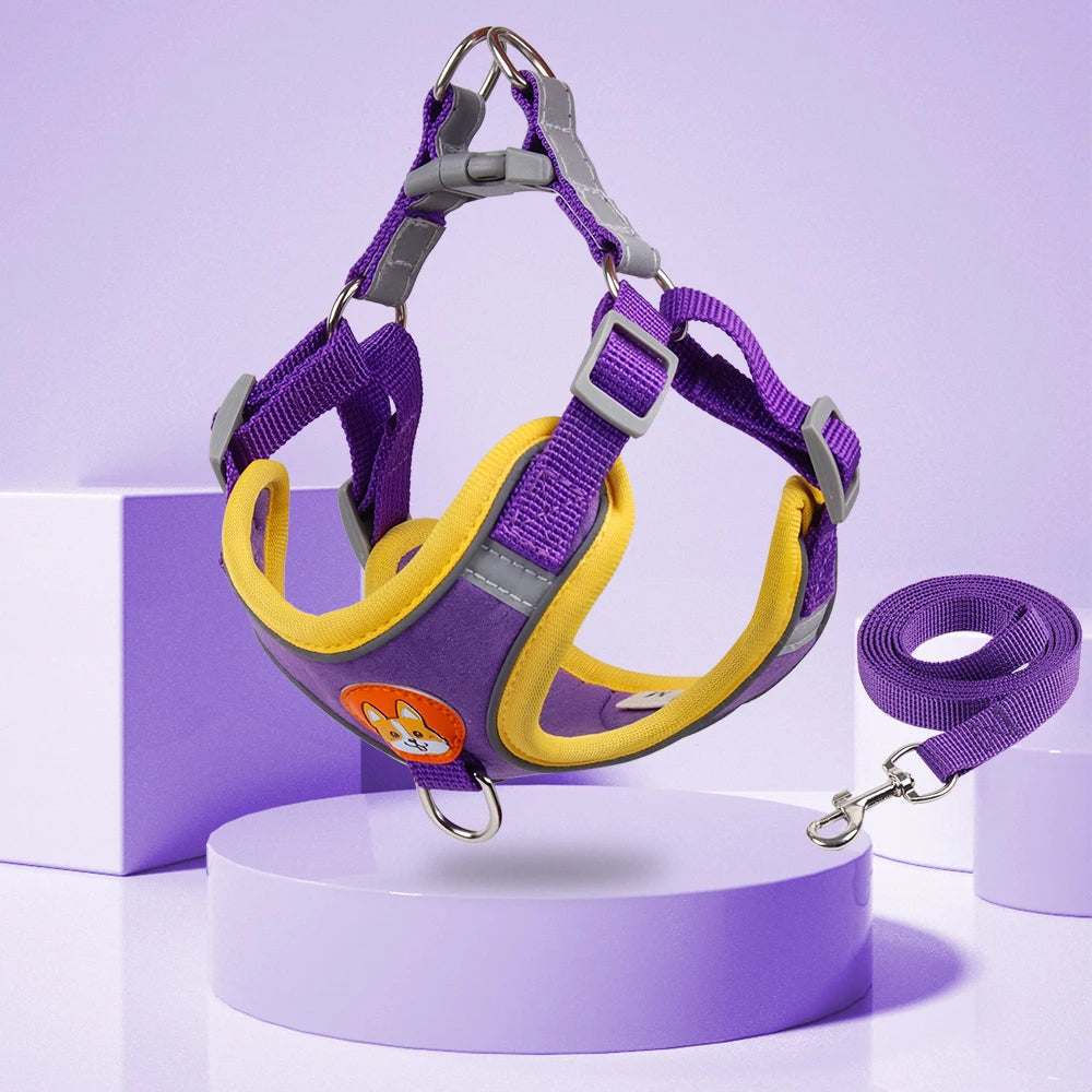 No Pull Harness and Leash set For Small Dogs
