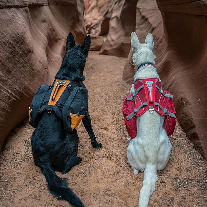 Kurgo Dog Saddlebag Backpack, Back Pack Dog Harness, Hiking Pack for Dogs, Packs for Pets to Wear, Camping & Travel Vest Harness, Reflective, Lightweight, Baxter Pack for Medium & Large Pets