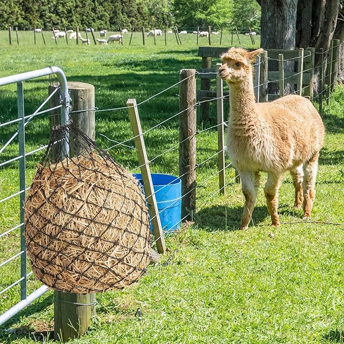 Fabbay 4 Pcs Slow Feed Hay Net Feeder Hay Bag for Horses Slow Feeder 40 Inch Length with 2 Inch Holes Hanging Horse Feed Net for Goat Cattle Equine Stalls Barn Supplies(Black)