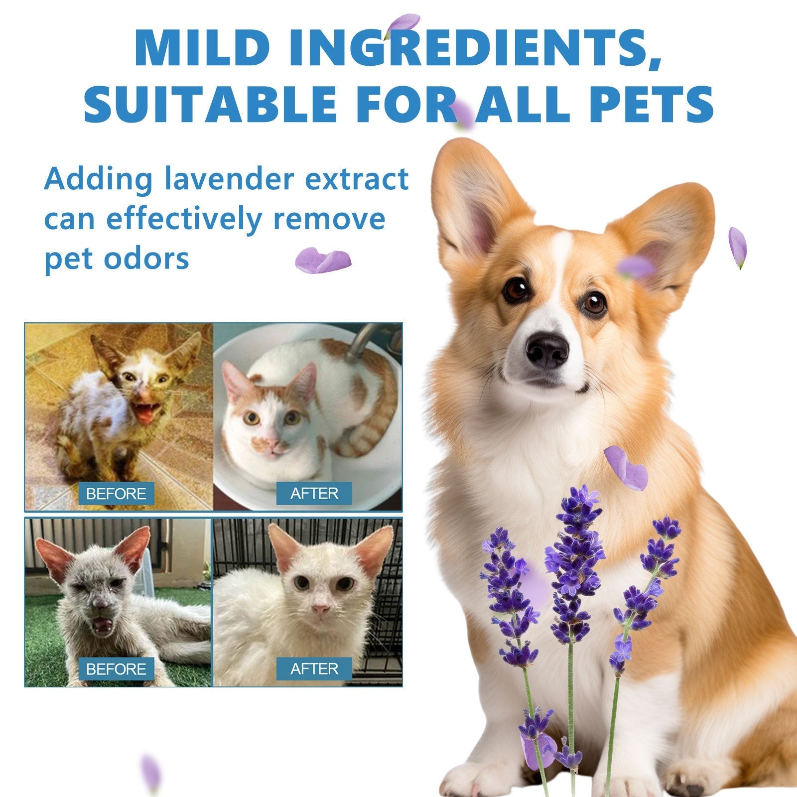 Pet Hair Daily Gentle Cleaning and Scented No-Rinse Care Essence for Cats and Dogs