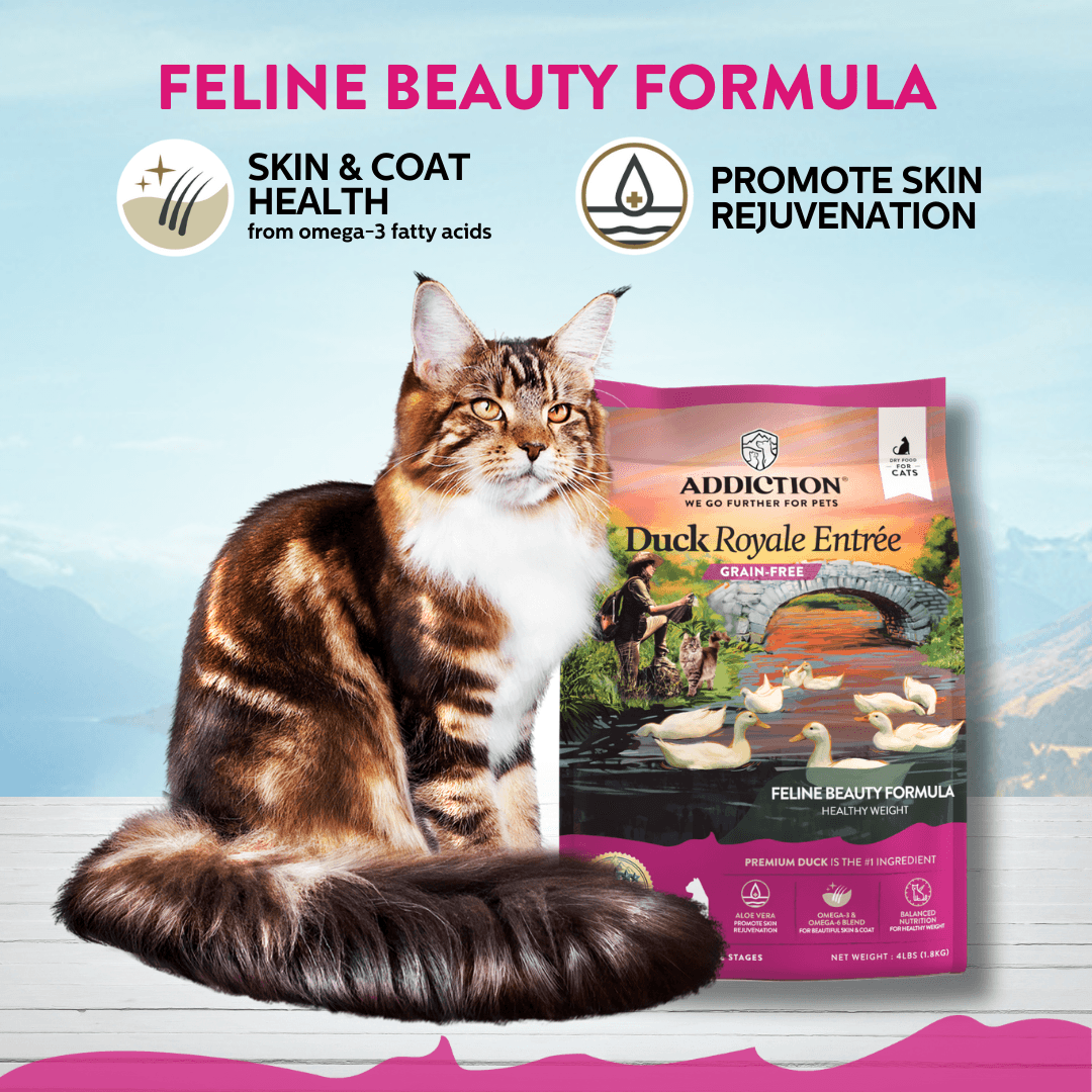 Duck Royale Dry Cat Food