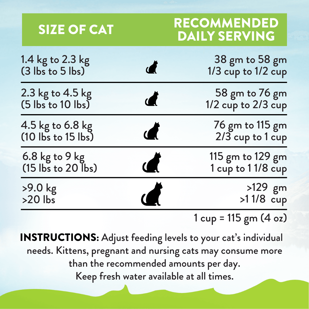 Viva La Venison Dry Cat Food