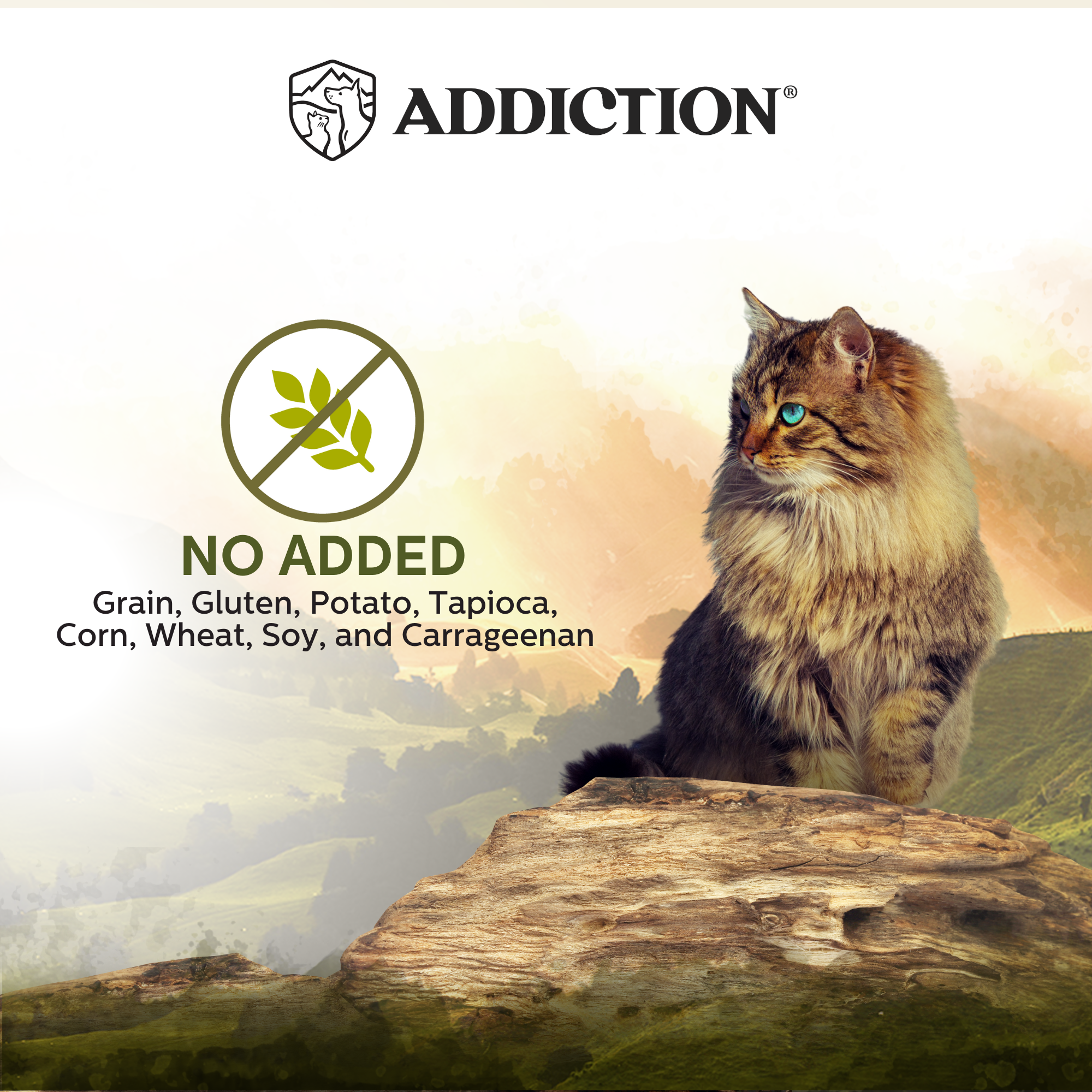 Wild Islands Highland Meats Premium Lamb & Beef Grain-Free Canned Cat Food