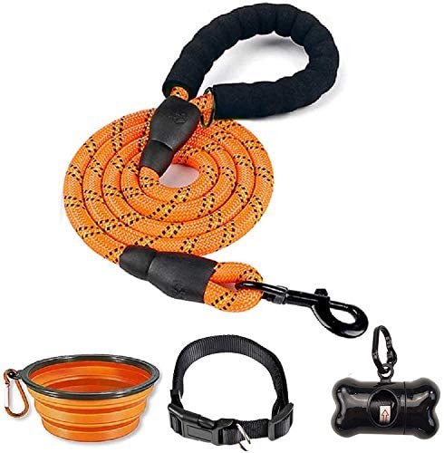 6 FT Dog Leash for Large and Medium Dogs-Orange Set of 5