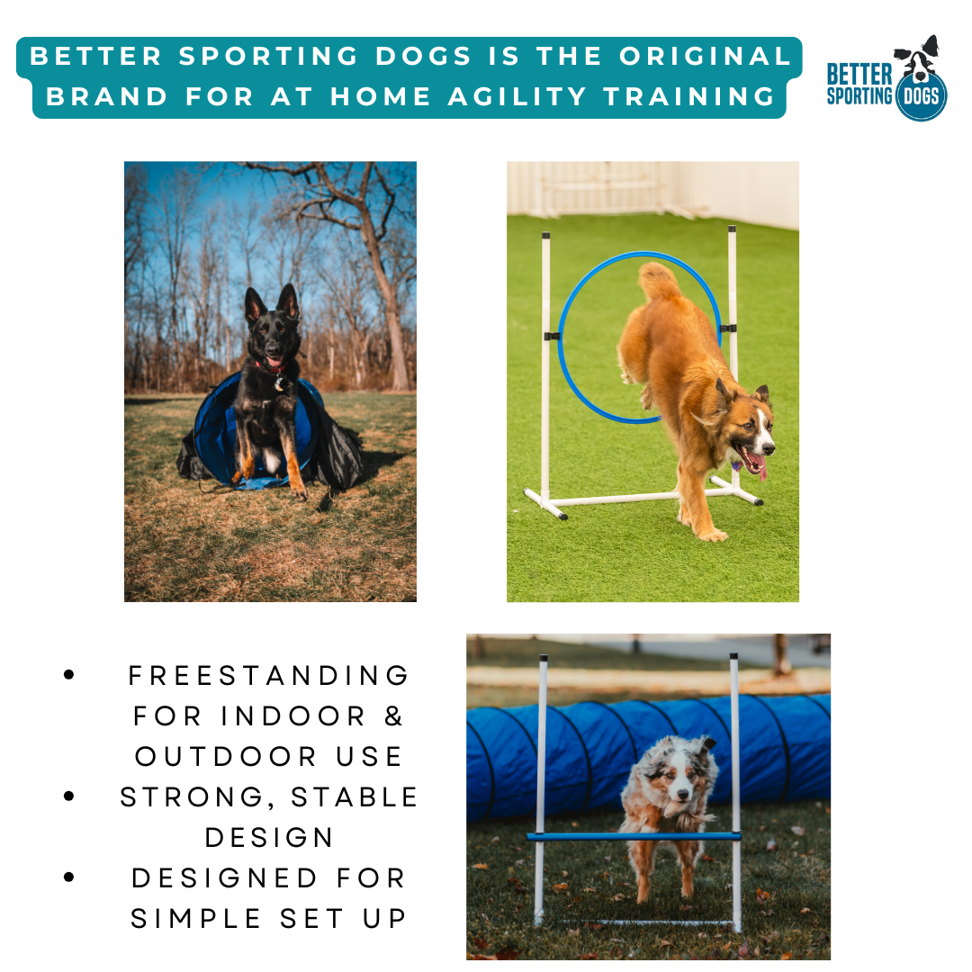 Better Sporting Dogs 7 Piece Dog Agility Equipment Set – with Jumps, Tunnels, Pause Box & Weave Poles
