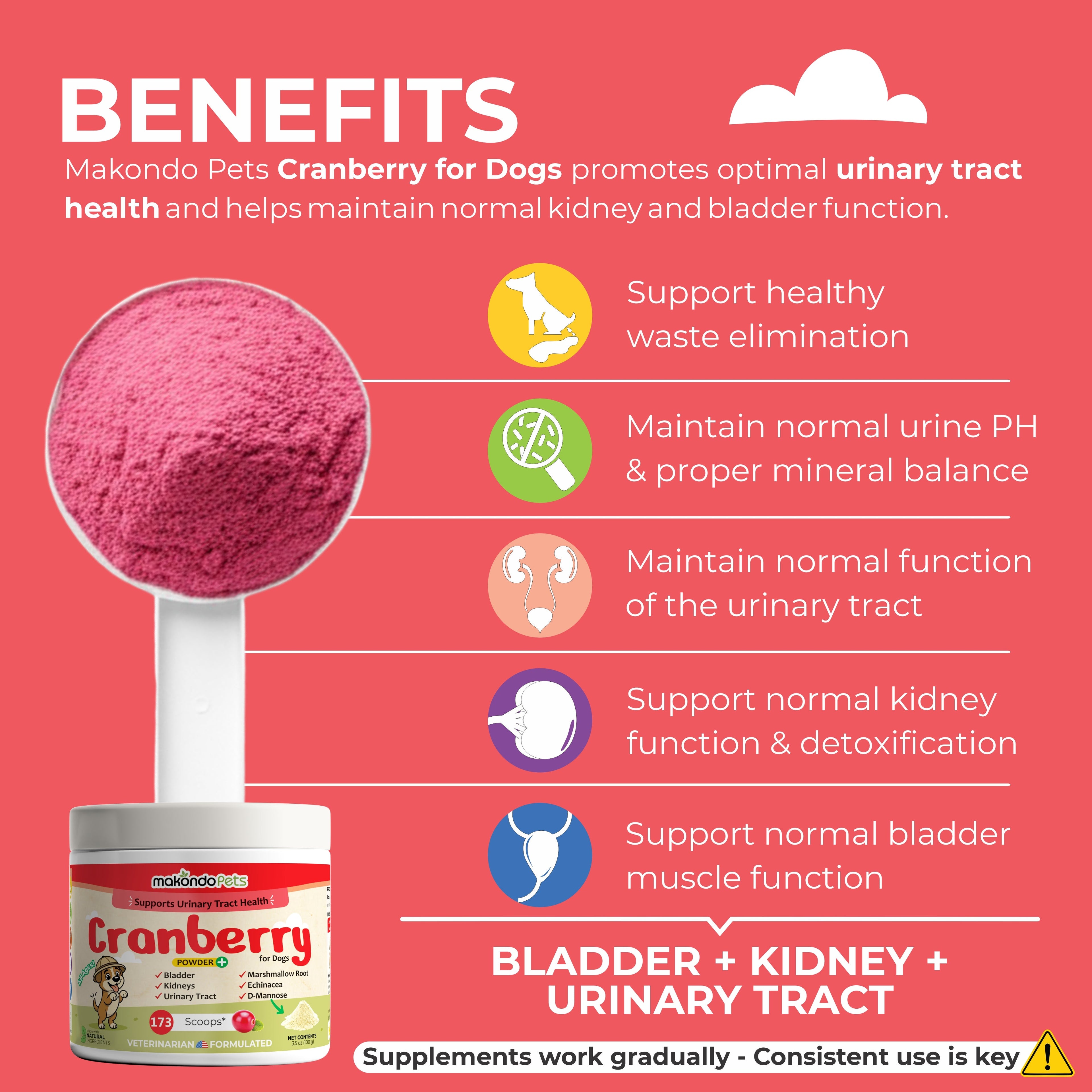 Cranberry for Dogs. Urinary Tract Support. 173 Scoops
