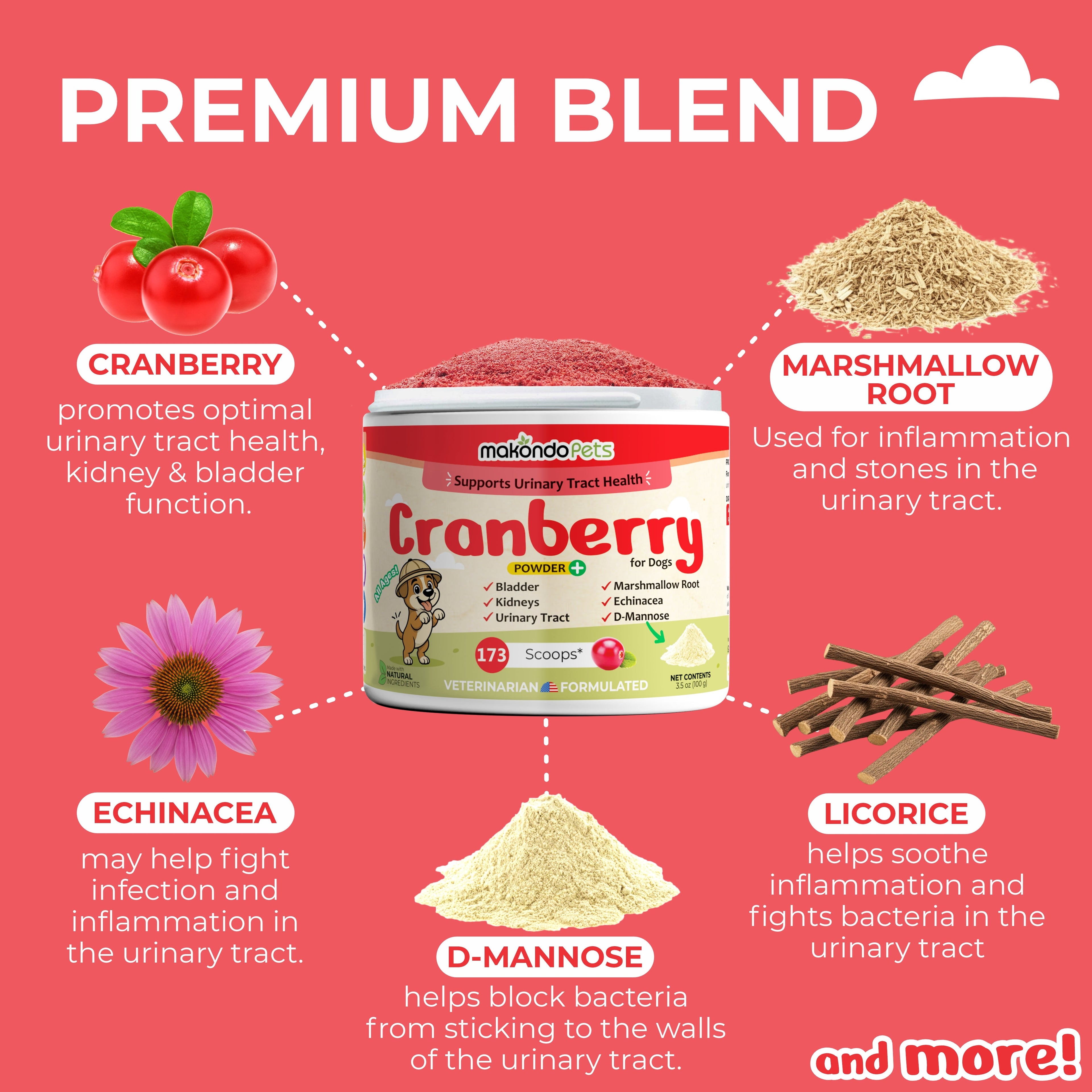 Cranberry for Dogs. Urinary Tract Support. 173 Scoops