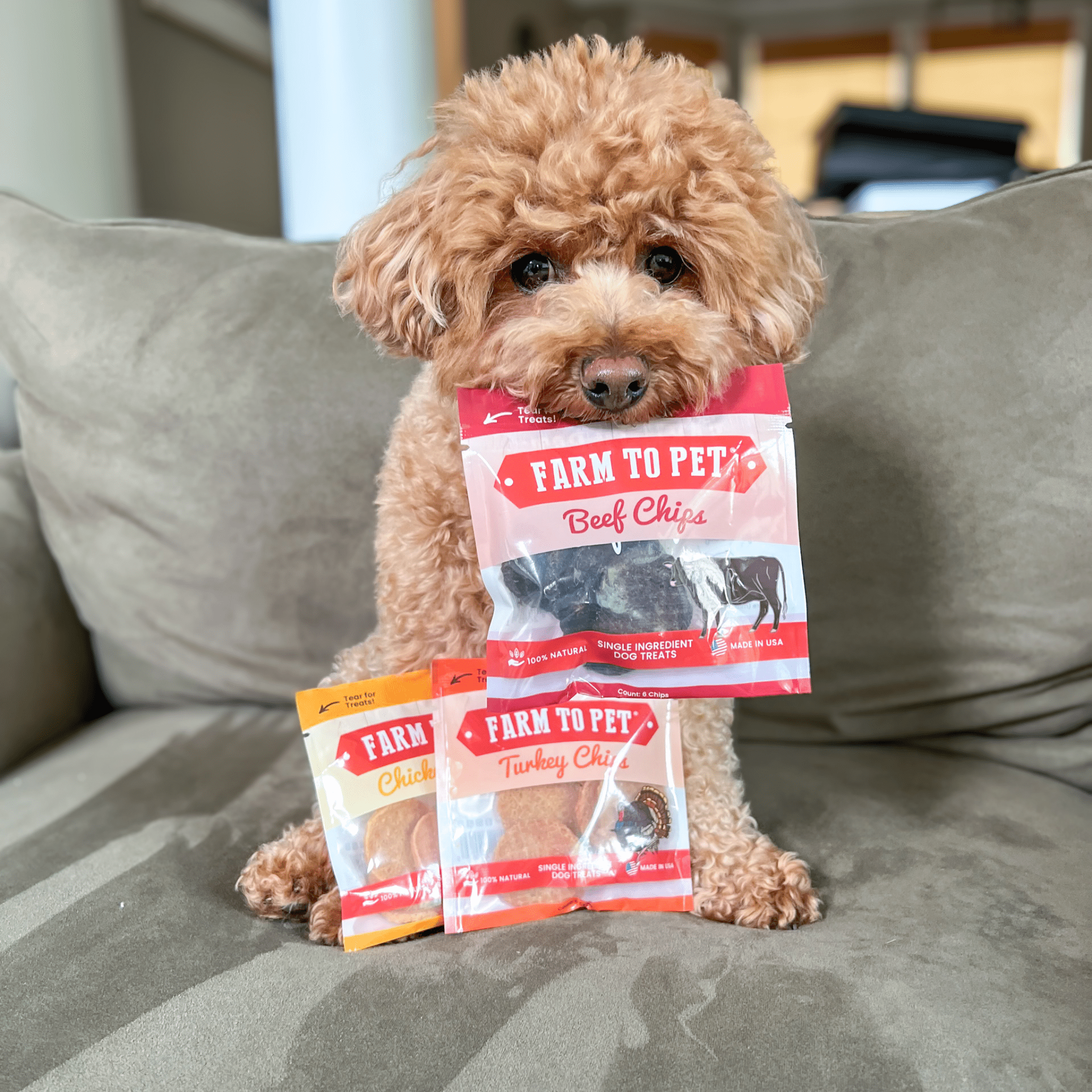 Puppy Packs &