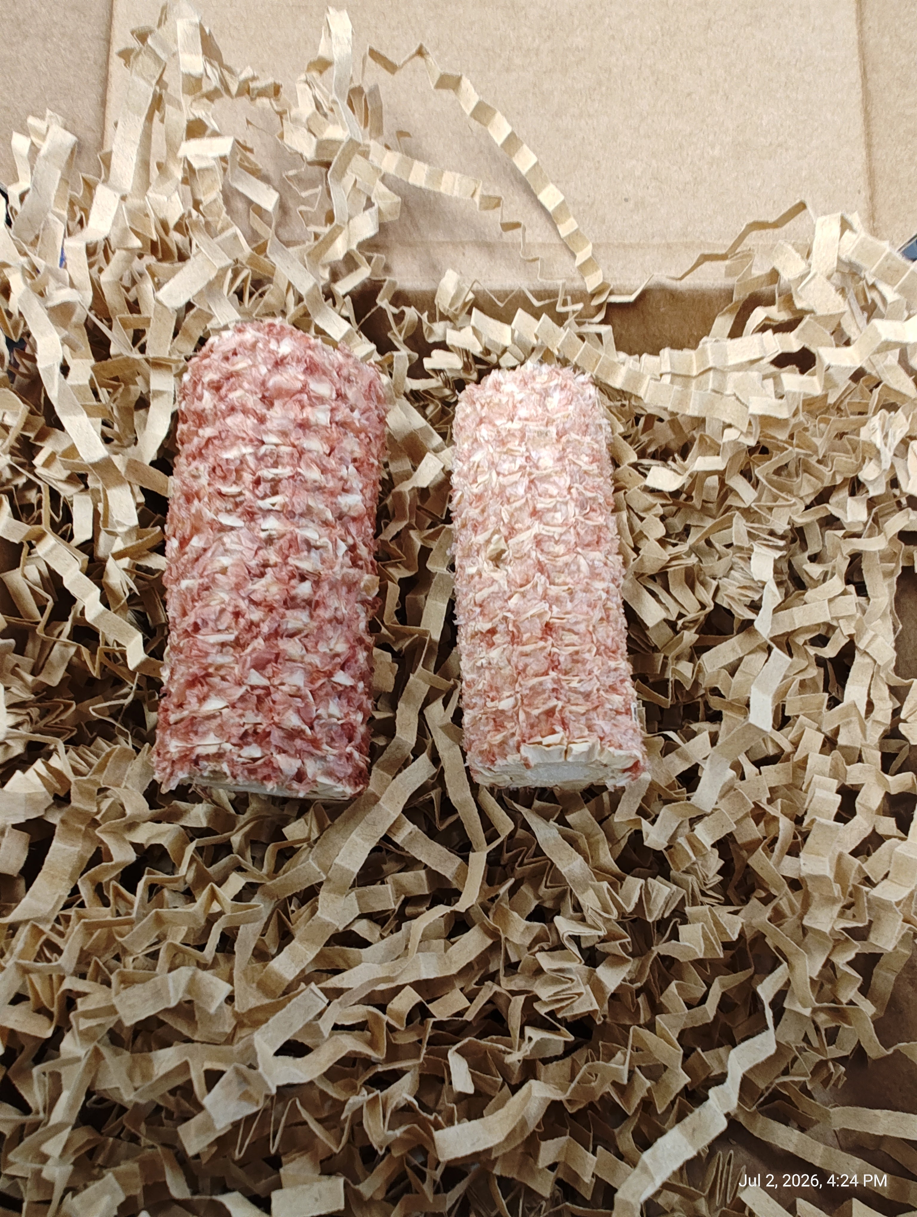 Tiny Nibblers Super fun Chews in Small package