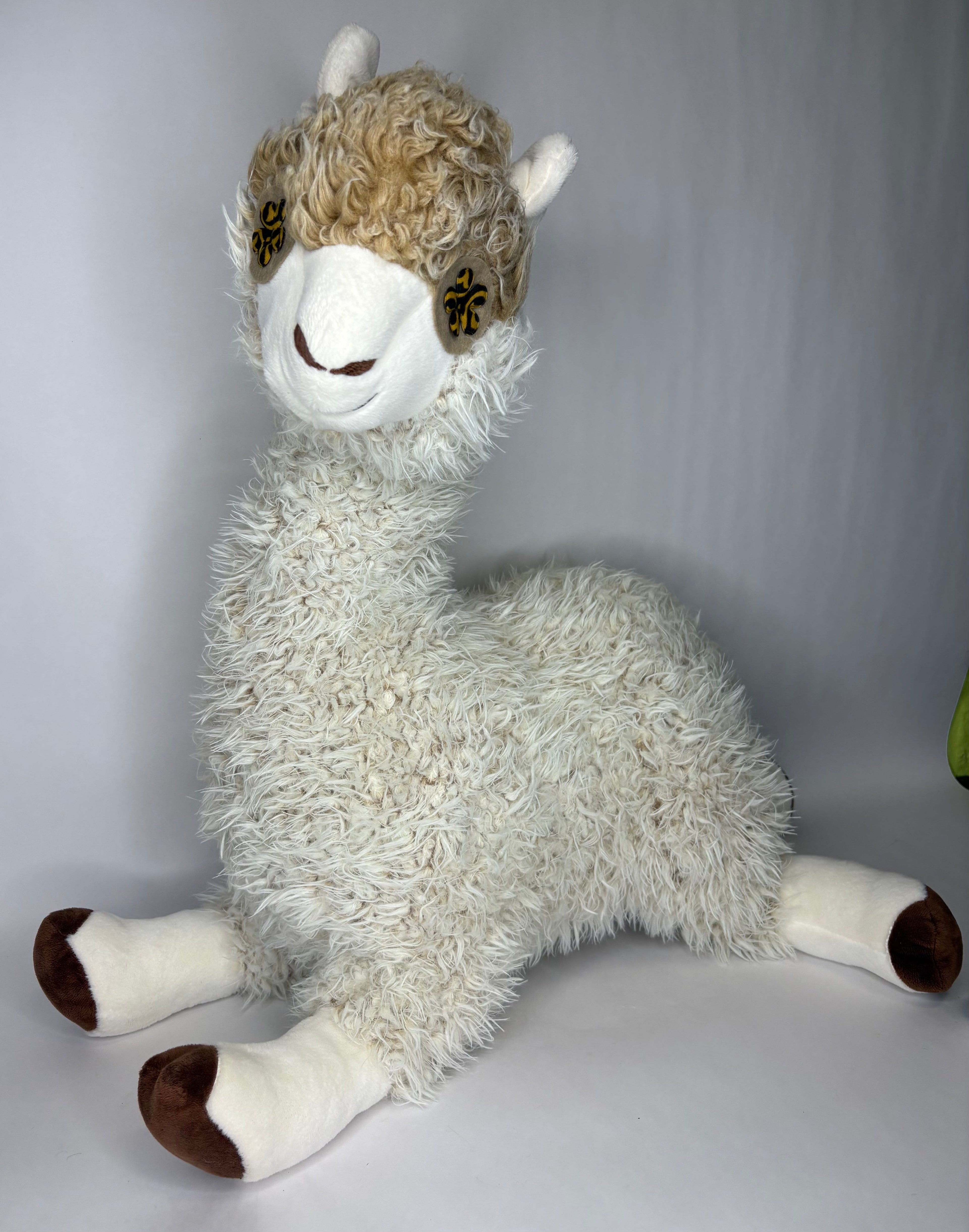 XXLarge Stuffed Dog Toys: 20"+ Squeaky and No Squeak