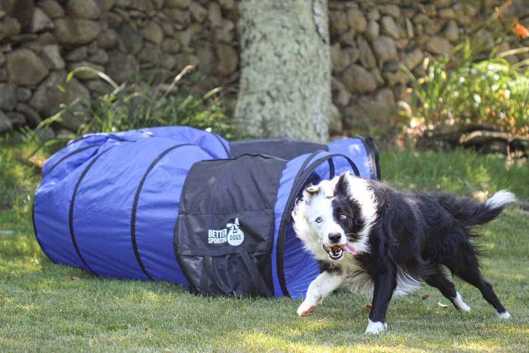 Better Sporting Dogs 16 ft Dog Agility Tunnel with Sandbags – Training Tunnel for Backyard Agility Courses
