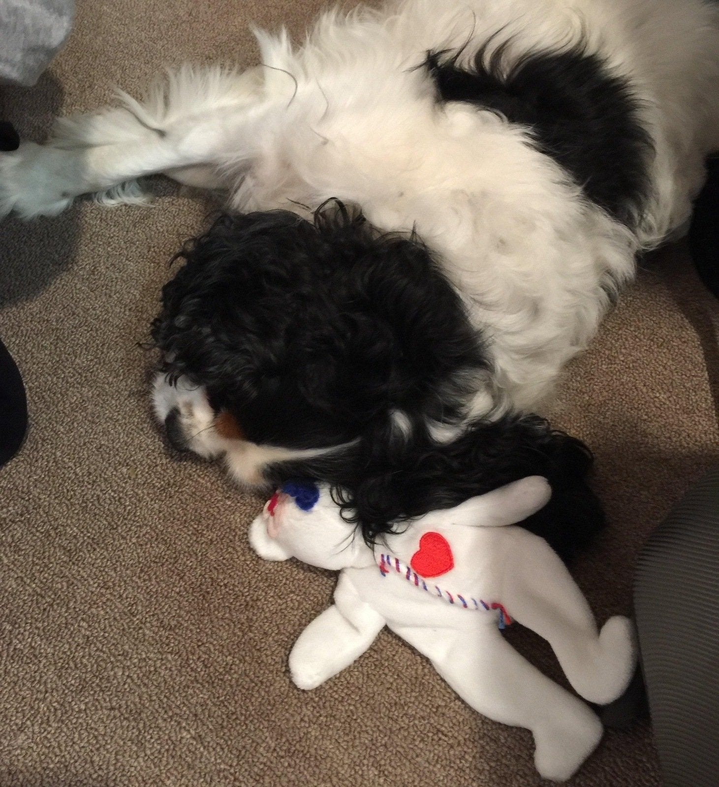 Blaster Baby Lightly-Stuffed Dog Toy with Big SQUEAKER / Beanie Babies with No Beans!