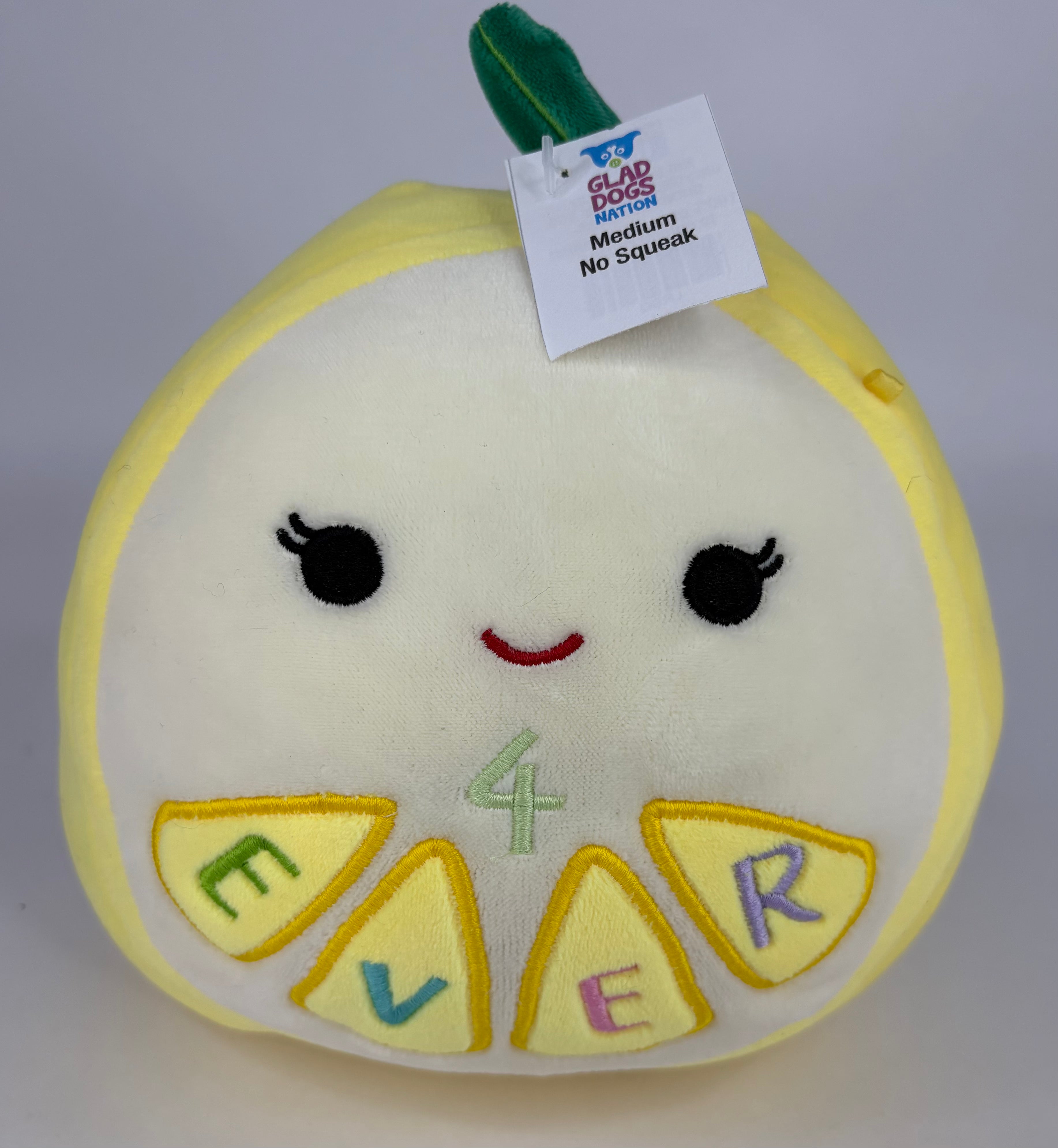 BOGO! Medium Squishy Cuddlers Super Soft Plush Pet Toys: Squeak & NO Squeak