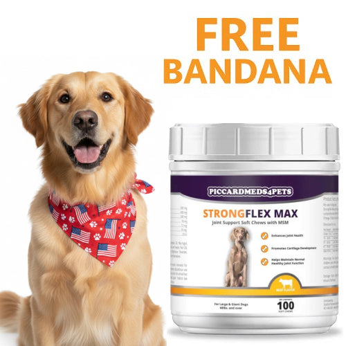 Piccardmeds4pets StrongFlex Max Joint Support Chews Large Dogs 100ct + FREE Bandana!