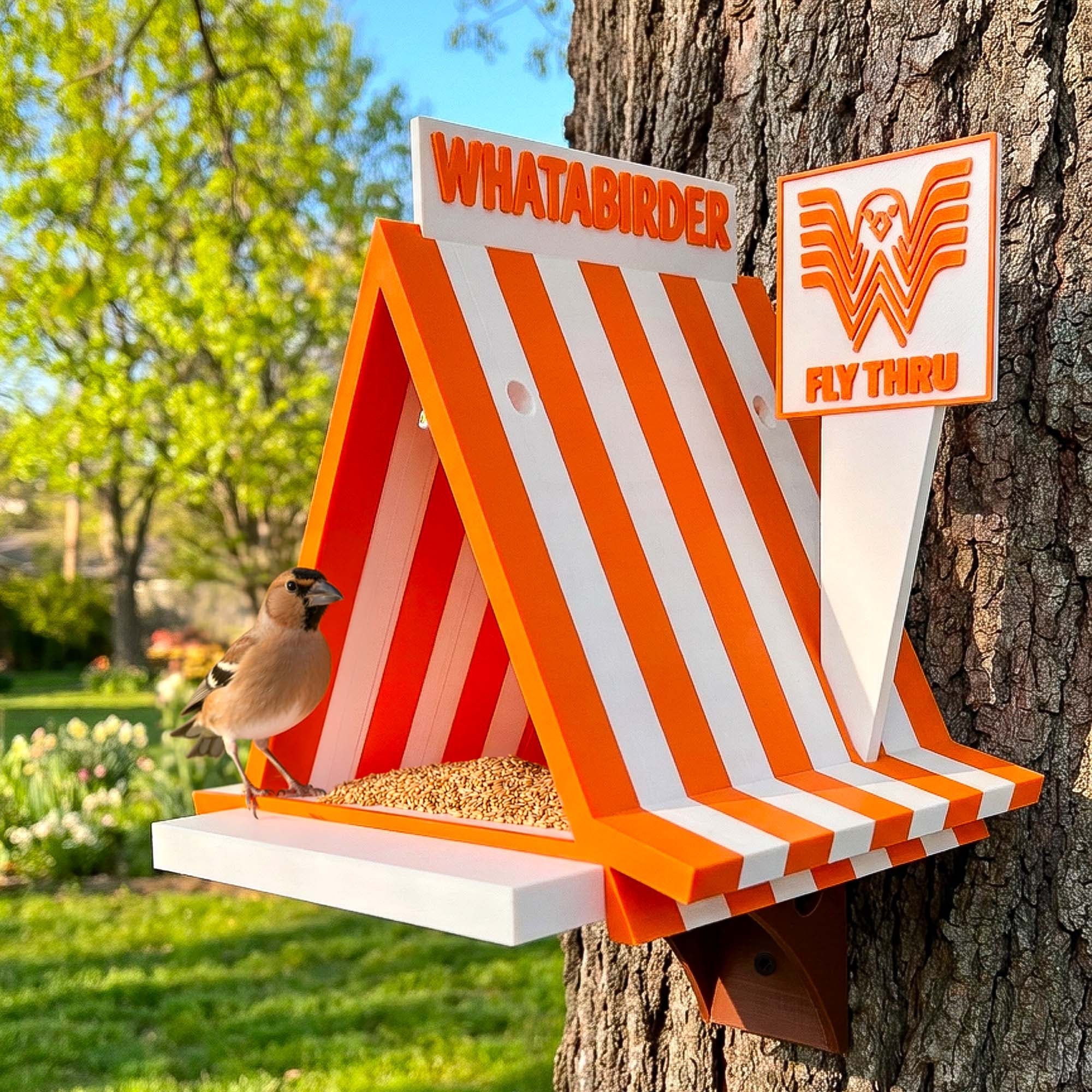 ADG42 The Whatabirder Parody Bird Feeder | Classic or Cafe Style