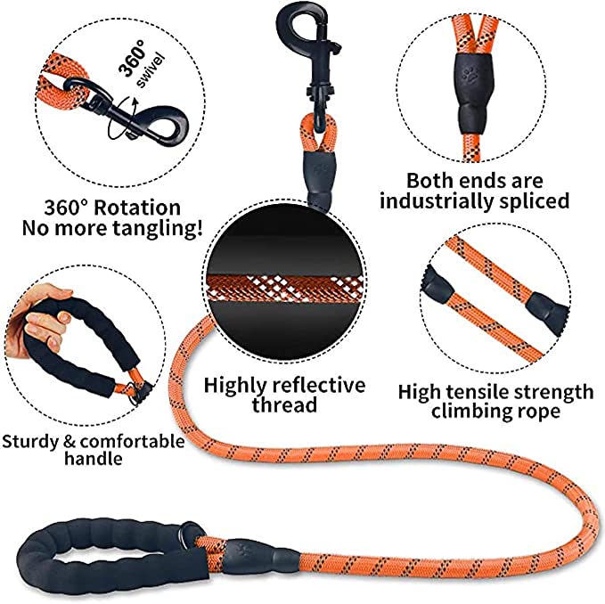 6 FT Dog Leash for Large and Medium Dogs-Orange Set of 5