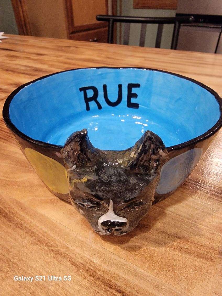 Special Custom Pet Bowls - for small, medium and large size dogs
