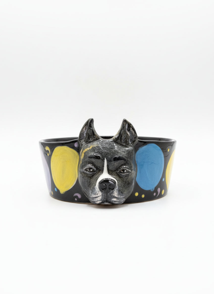 Special Custom Pet Bowls - for small, medium and large size dogs