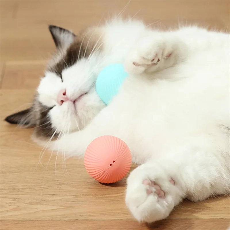 Smart Dog Toys Ball