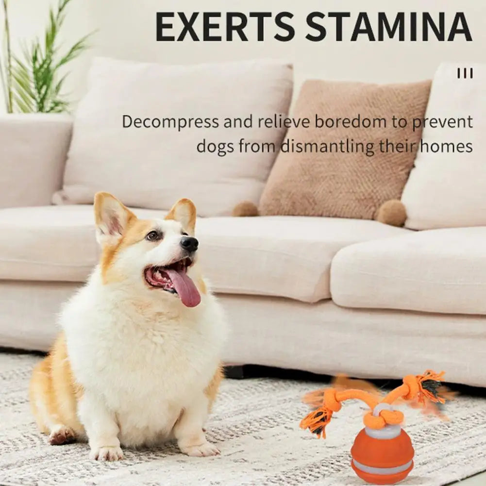 Pet Ball Interactive Toys for Dogs Motion Activate Rolling Ball for Puppy/Small Dogs Automatic Moving Toy USB Rechargeable Toy